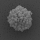 Illustration for article titled This Nano-Raspberry Can Keep Any Surface Wet or Dry